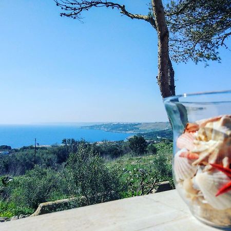 Villa Alda - Bilocali Vista Mare Santa Cesarea Terme Kültér fotó