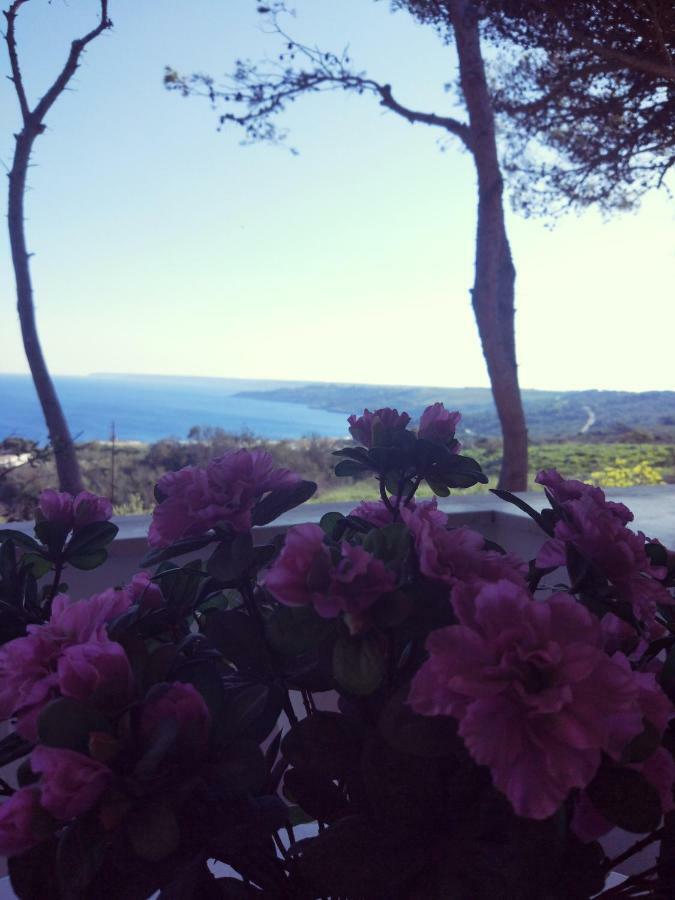 Villa Alda - Bilocali Vista Mare Santa Cesarea Terme Kültér fotó